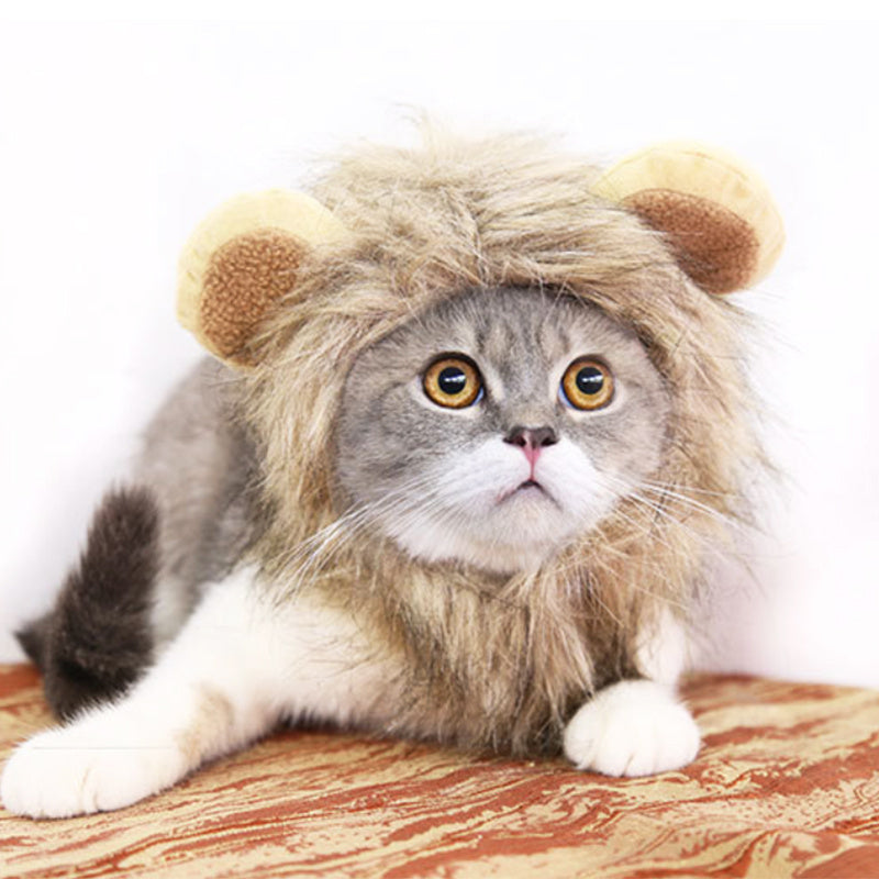 Funny Pet Hat For Small Dogs Cats Hat Emulation Lion Hair Mane Ears