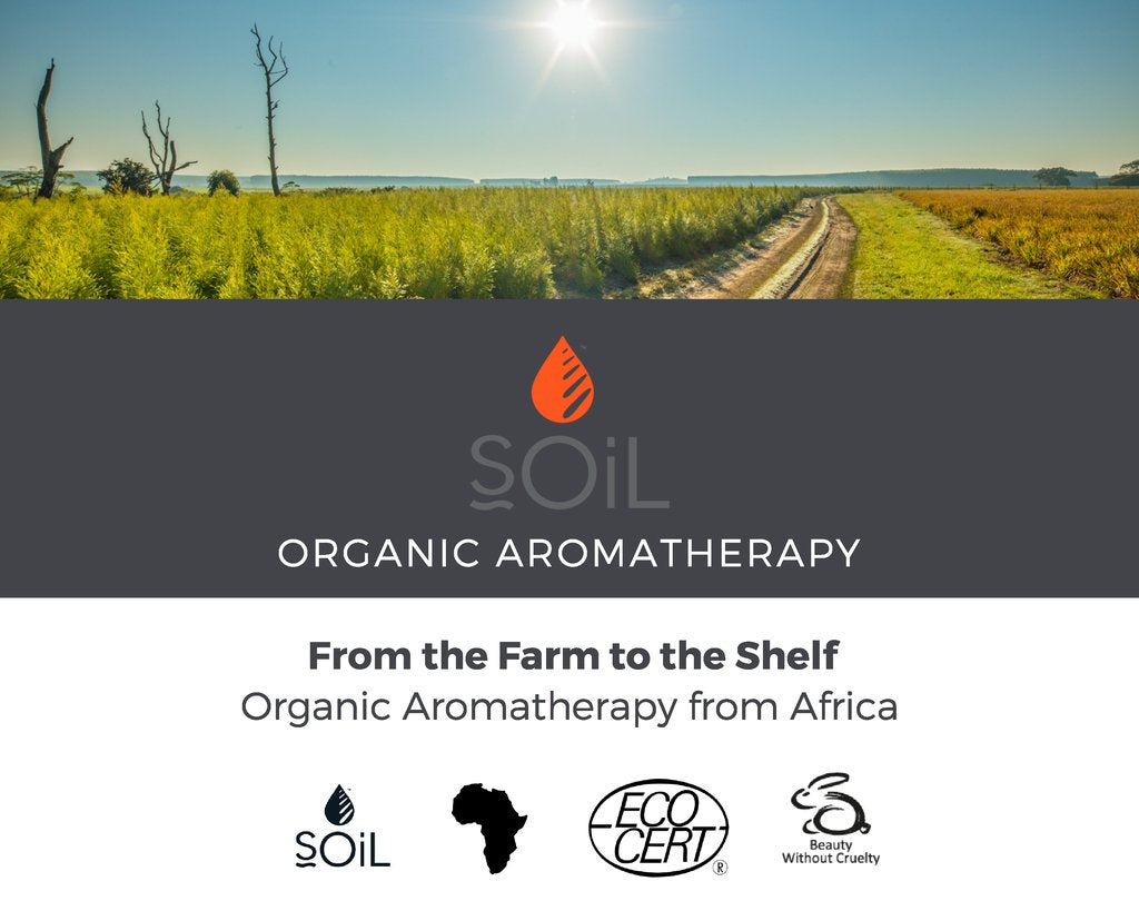 Organic Grapefruit Essential Oil (Citrus Paradisi) 10ml