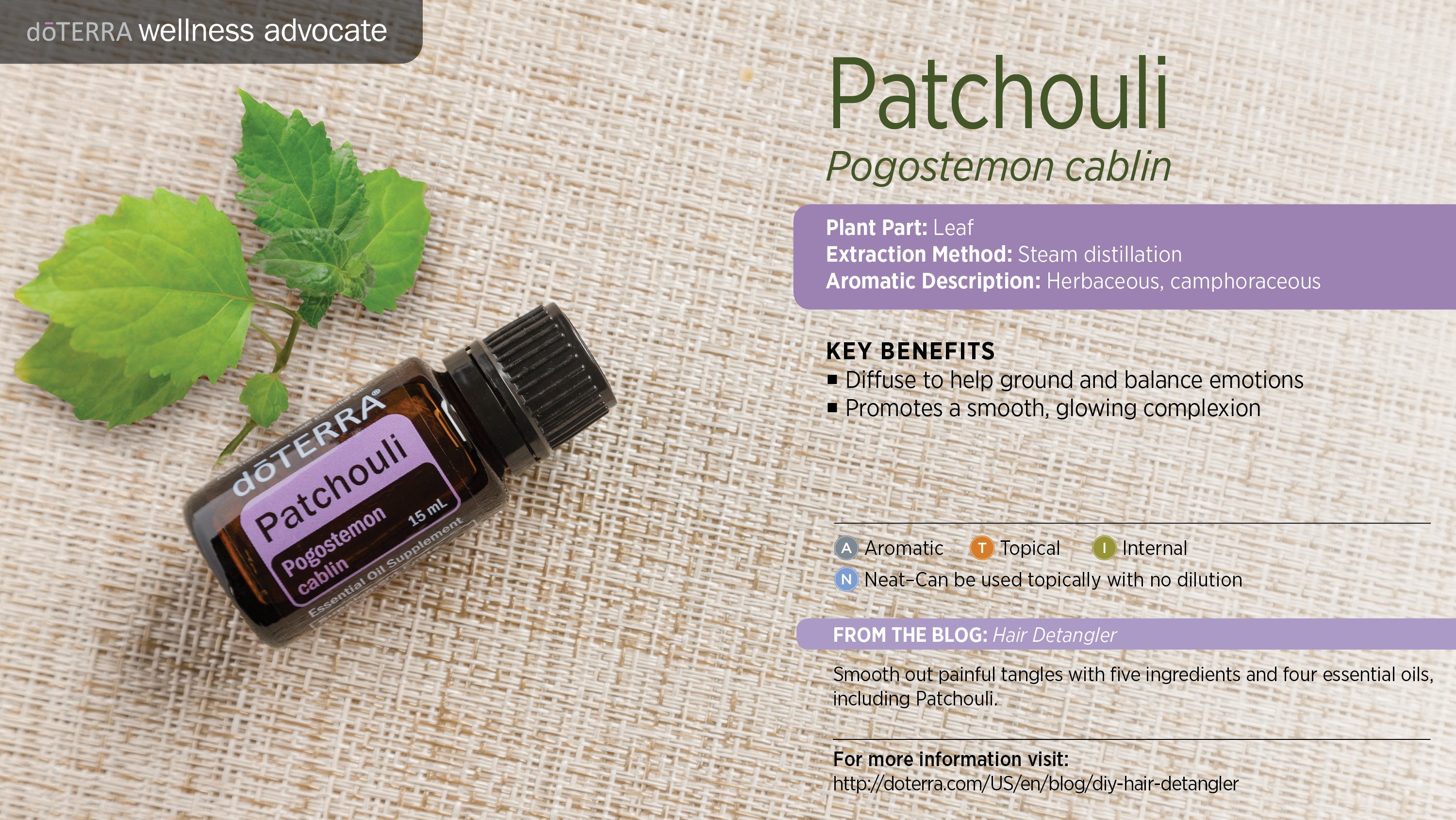 Patchouli - Pogostemon Cablin - Essential Oil
