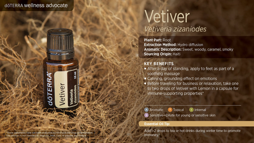 Vetiver - Essential Oil