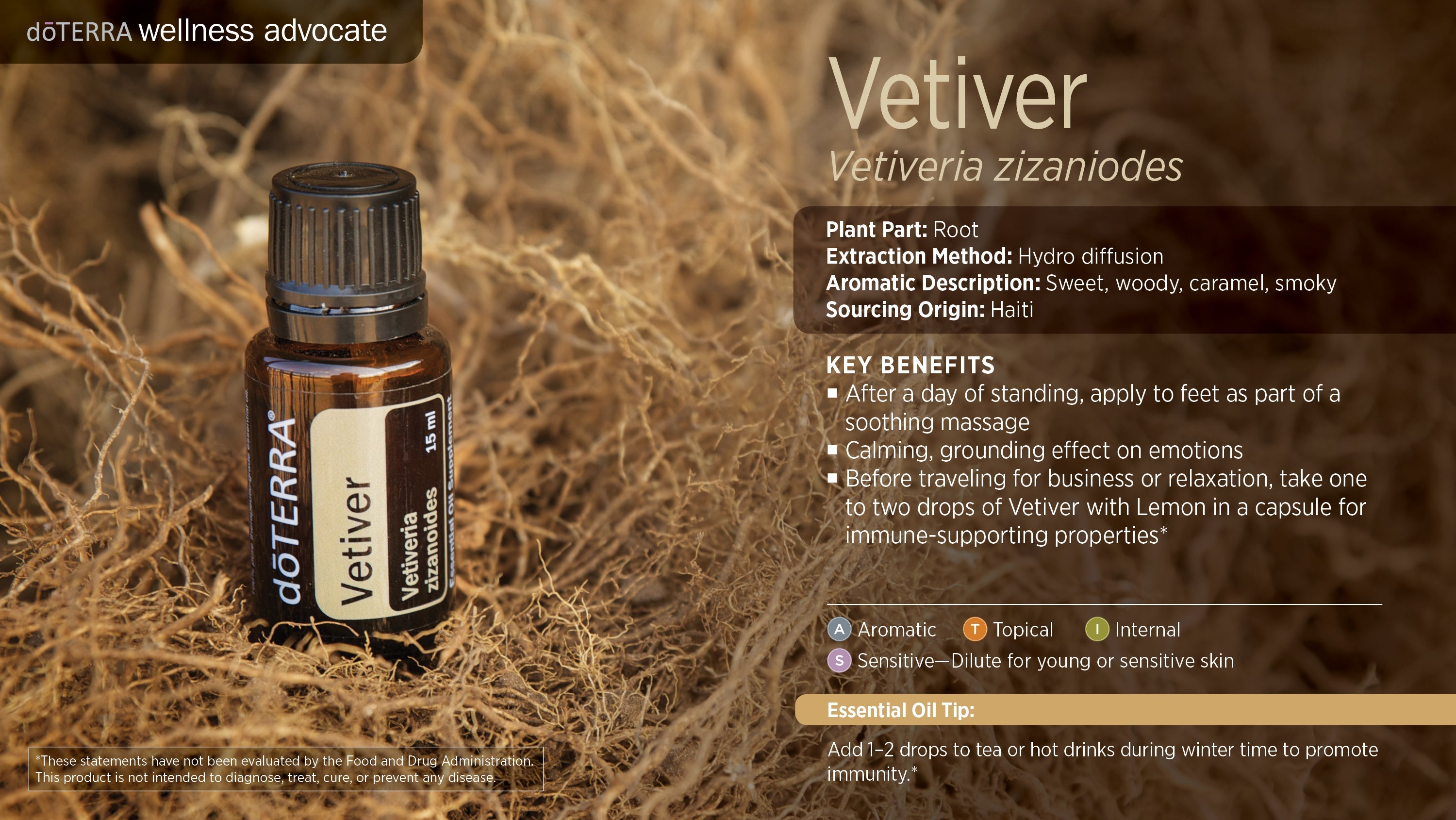 Vetiver - Essential Oil